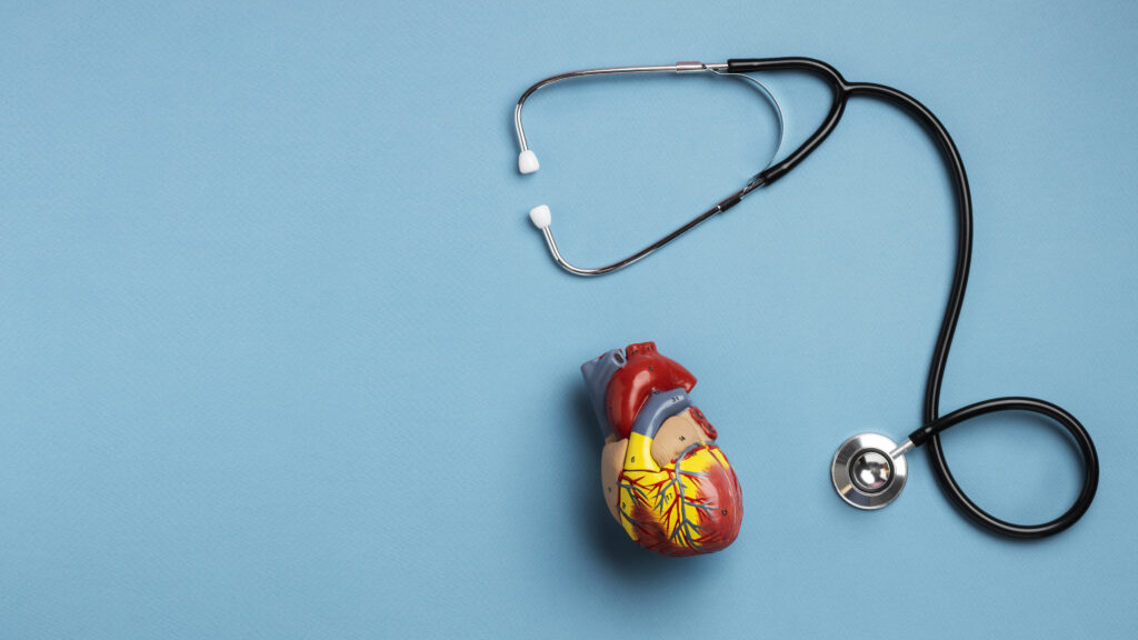 Stethoscope and anatomical heart on blue background